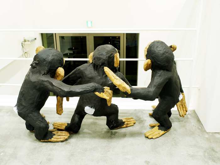 Chimps © motoka Watanabe.